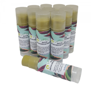 Baton antiacneic corector cu neem, dafin și chimen